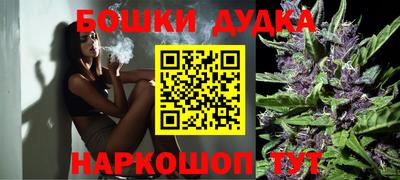 индика Моздок