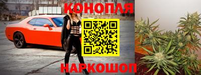 индика Моздок