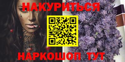 индика Моздок