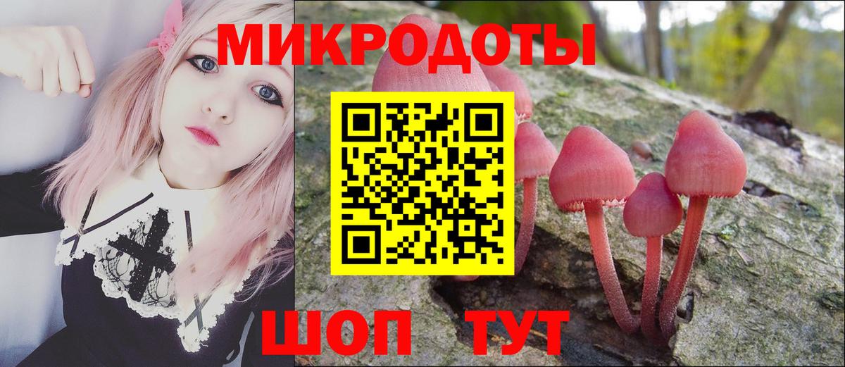 Галлюциногенные грибы Psilocybine cubensis Свободный