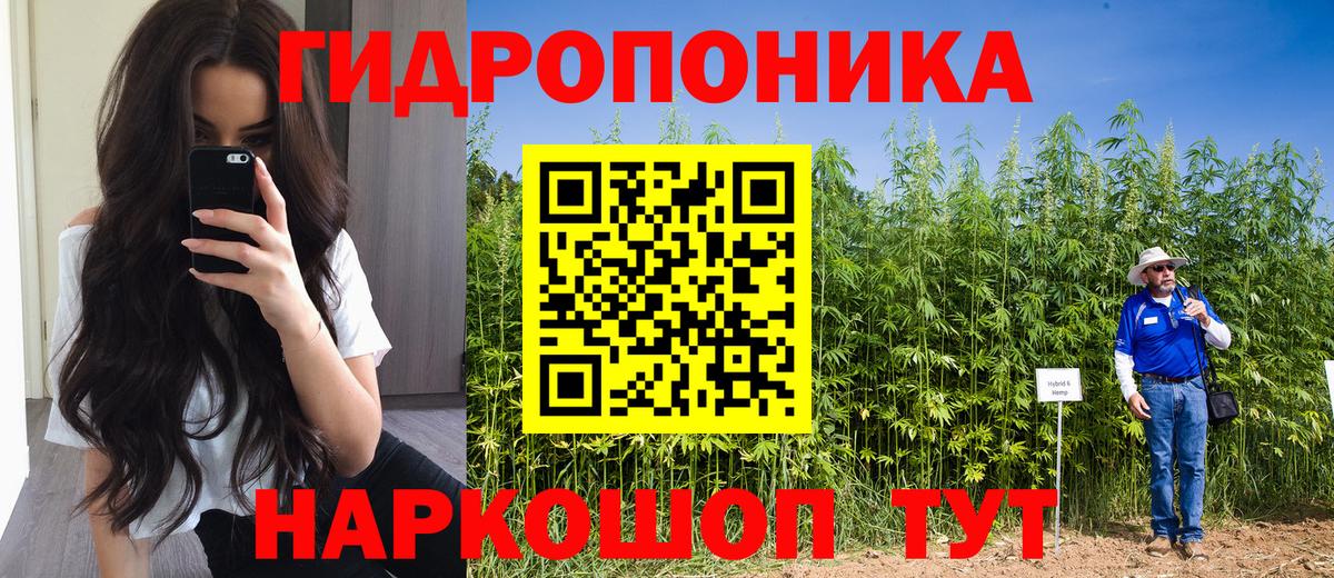 Конопля LSD WEED Свободный